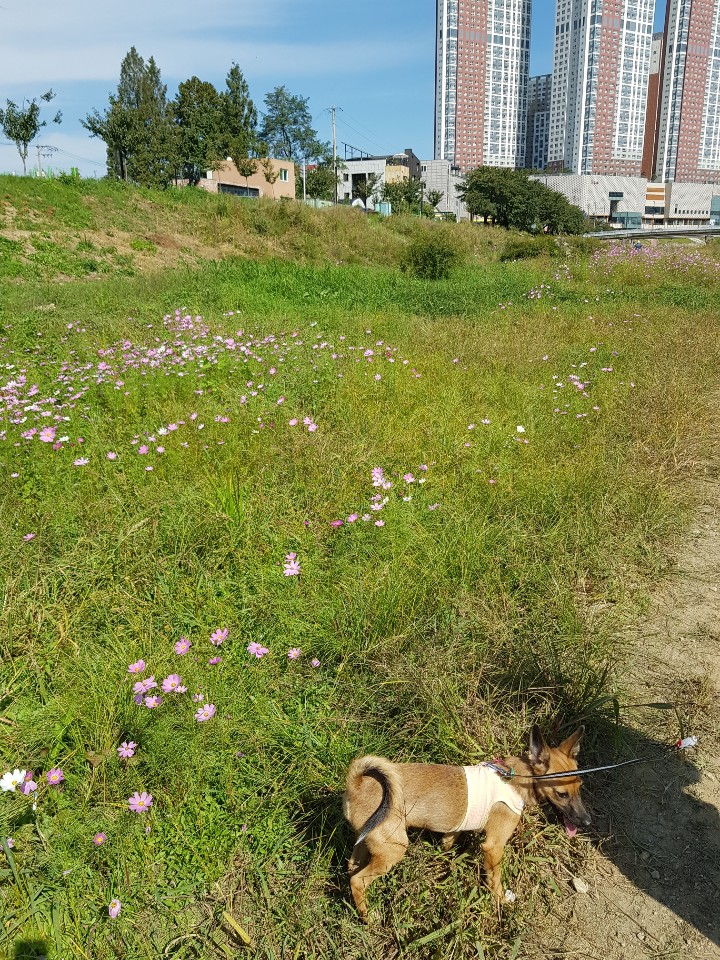 토리(구은사) 3개월 후기입니다 ! 