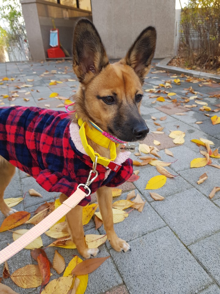 토리(구은사) 3개월 후기입니다 ! 