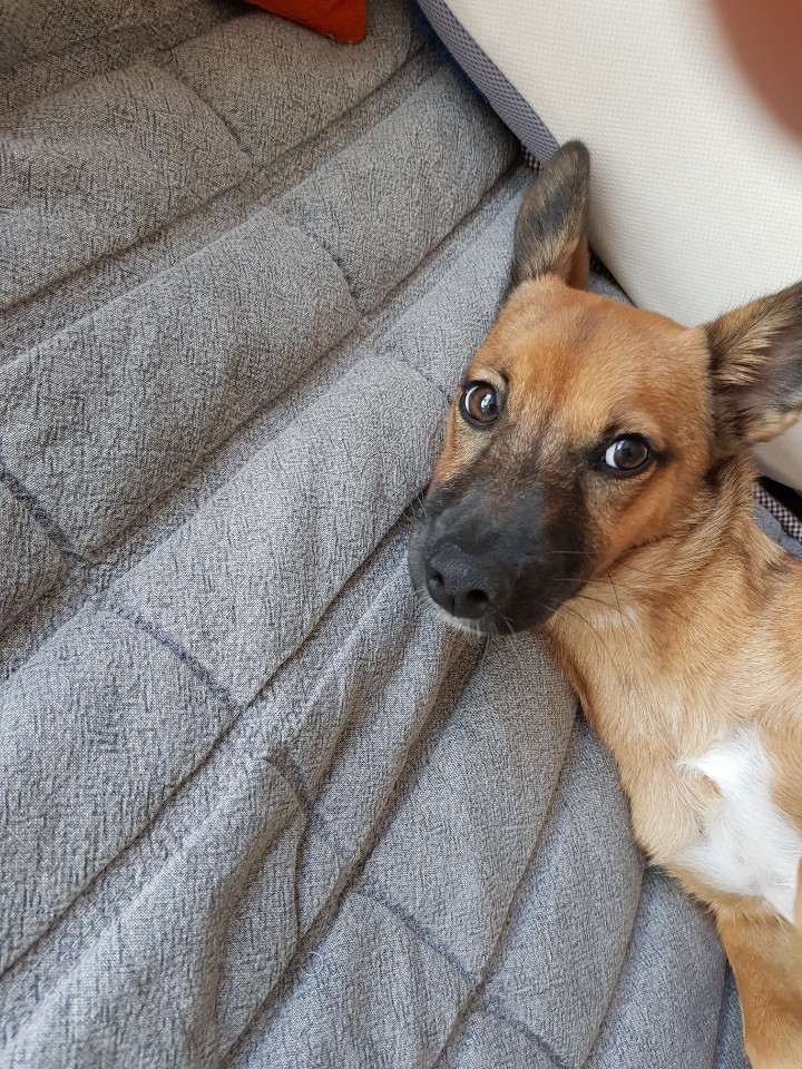 토리(구은사) 3개월 후기입니다 ! 