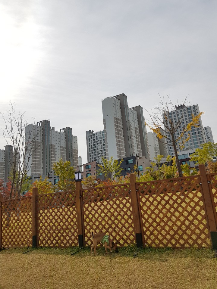 토리(구은사) 3개월 후기입니다 ! 