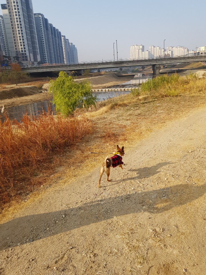 토리(구은사) 3개월 후기입니다 ! 