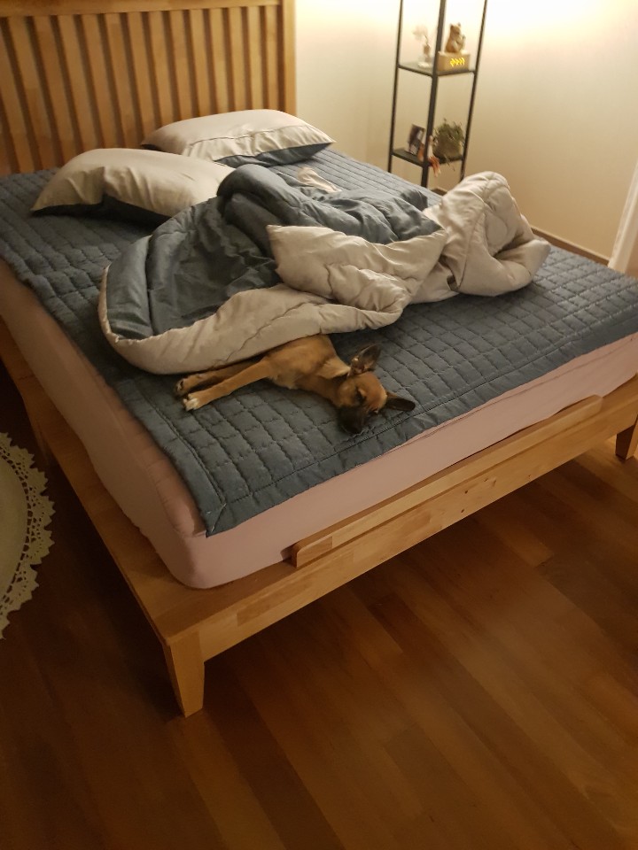 토리(구은사) 3개월 후기입니다 ! 