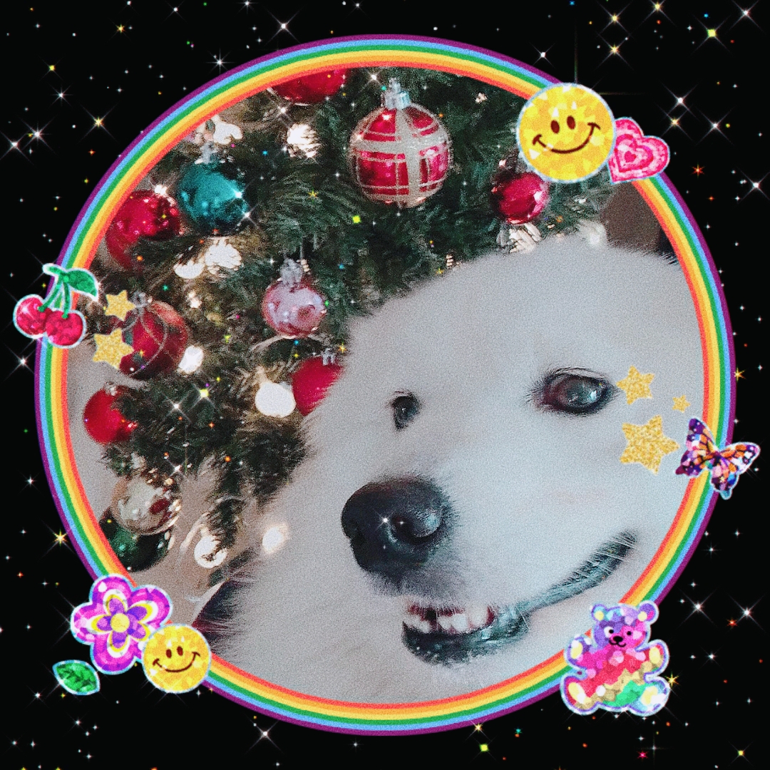 클로이의 한달♡