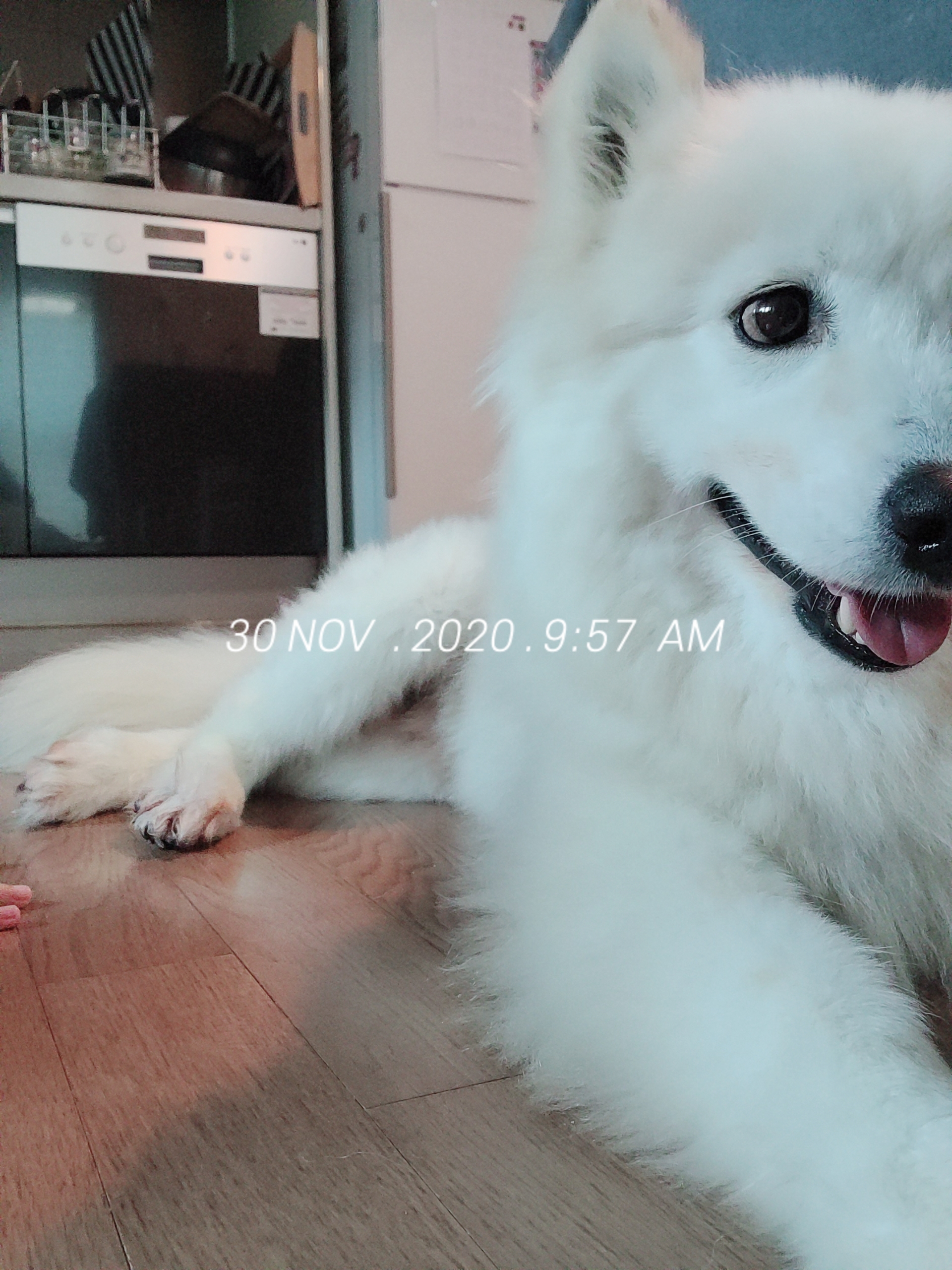 클로이의 한달♡