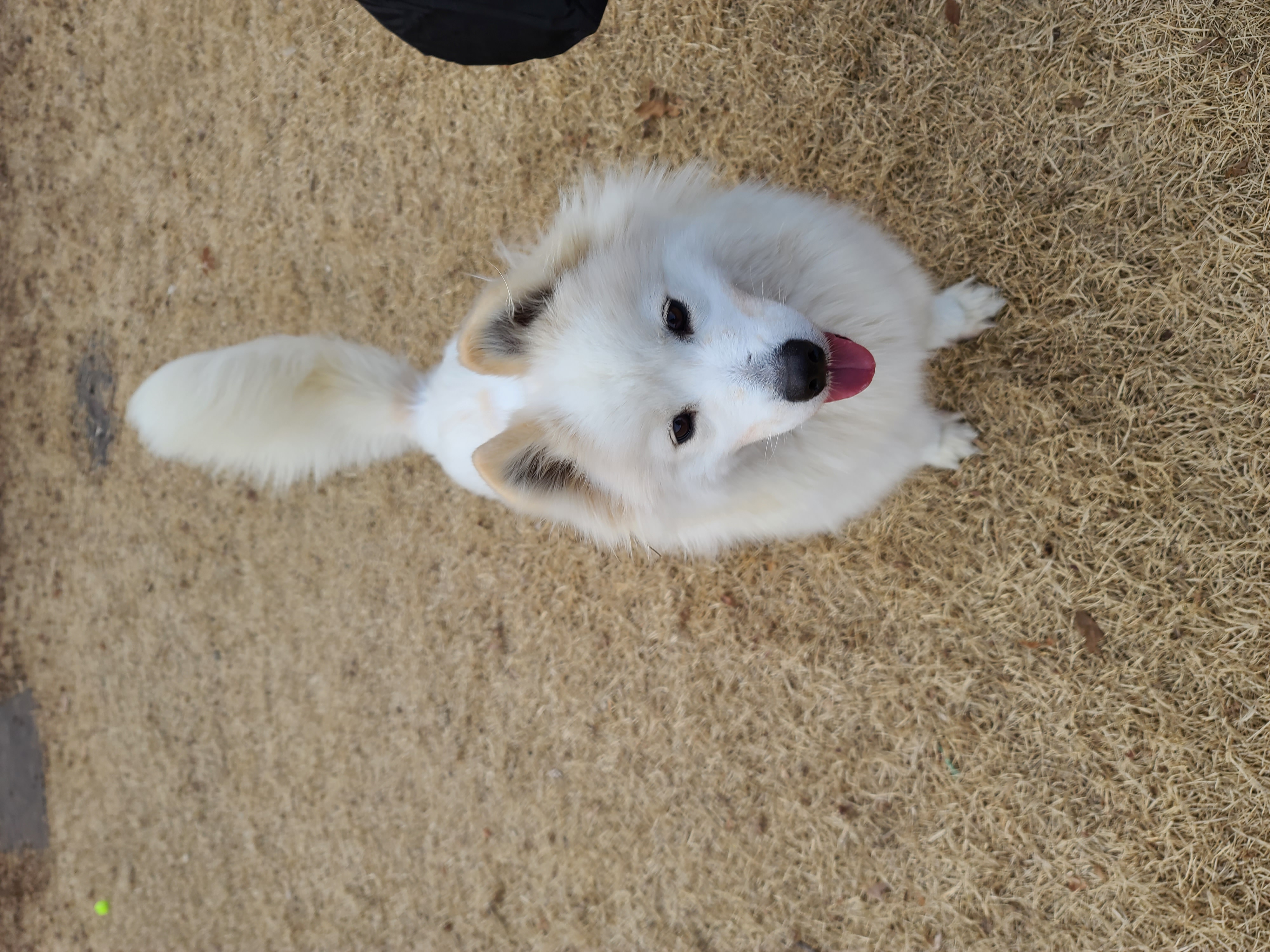 클로이의 한달♡