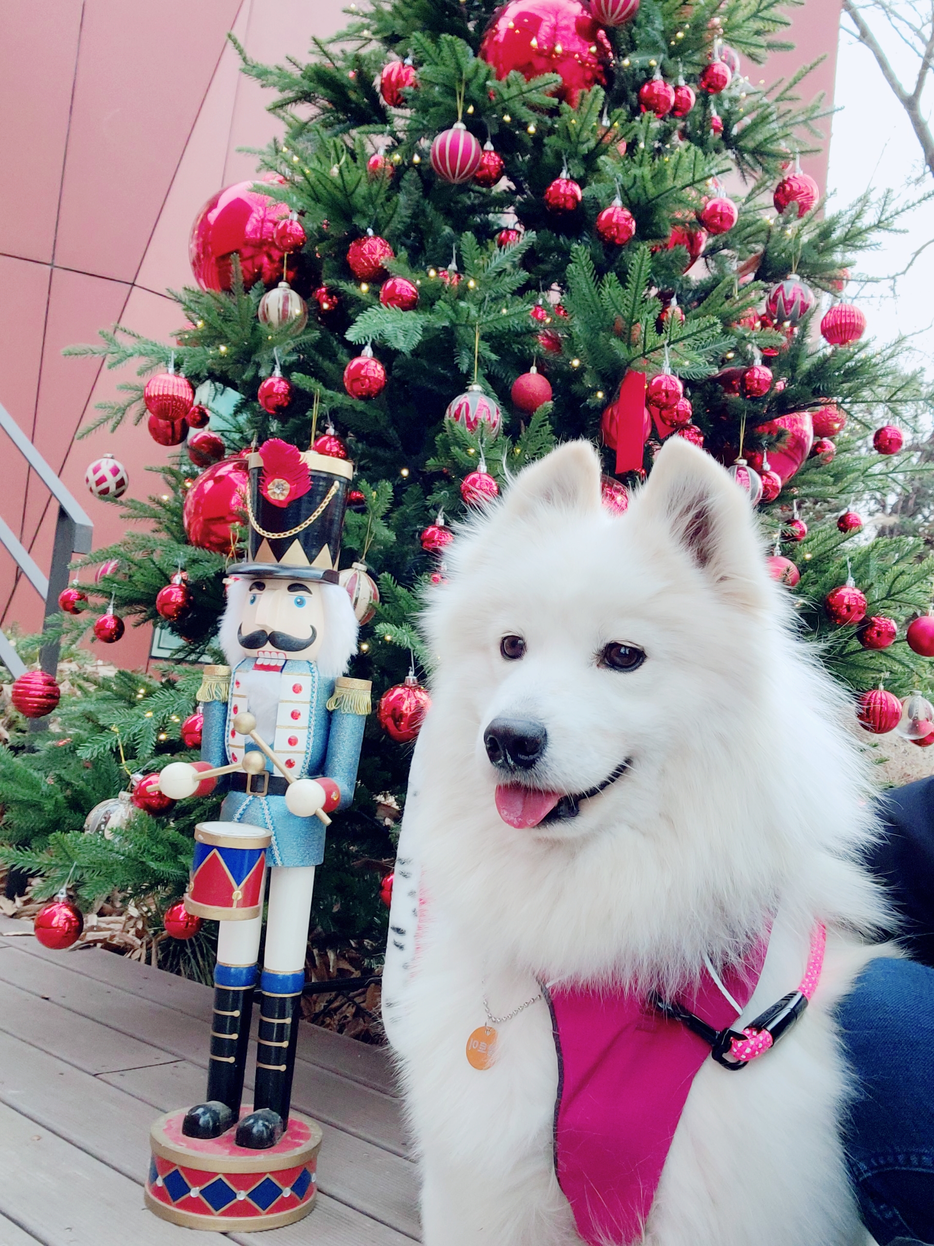 클로이의 한달♡