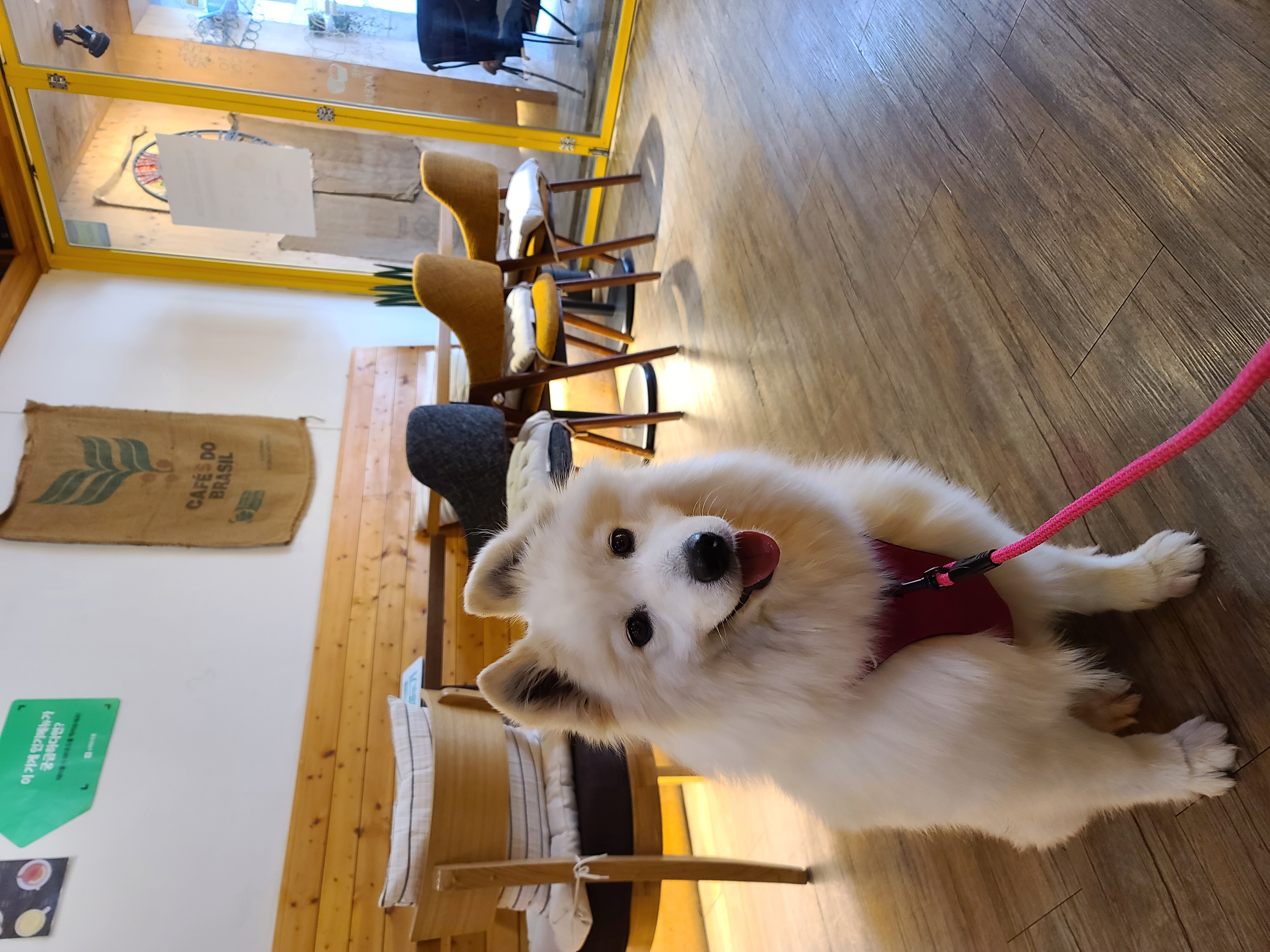 클로이의 한달♡