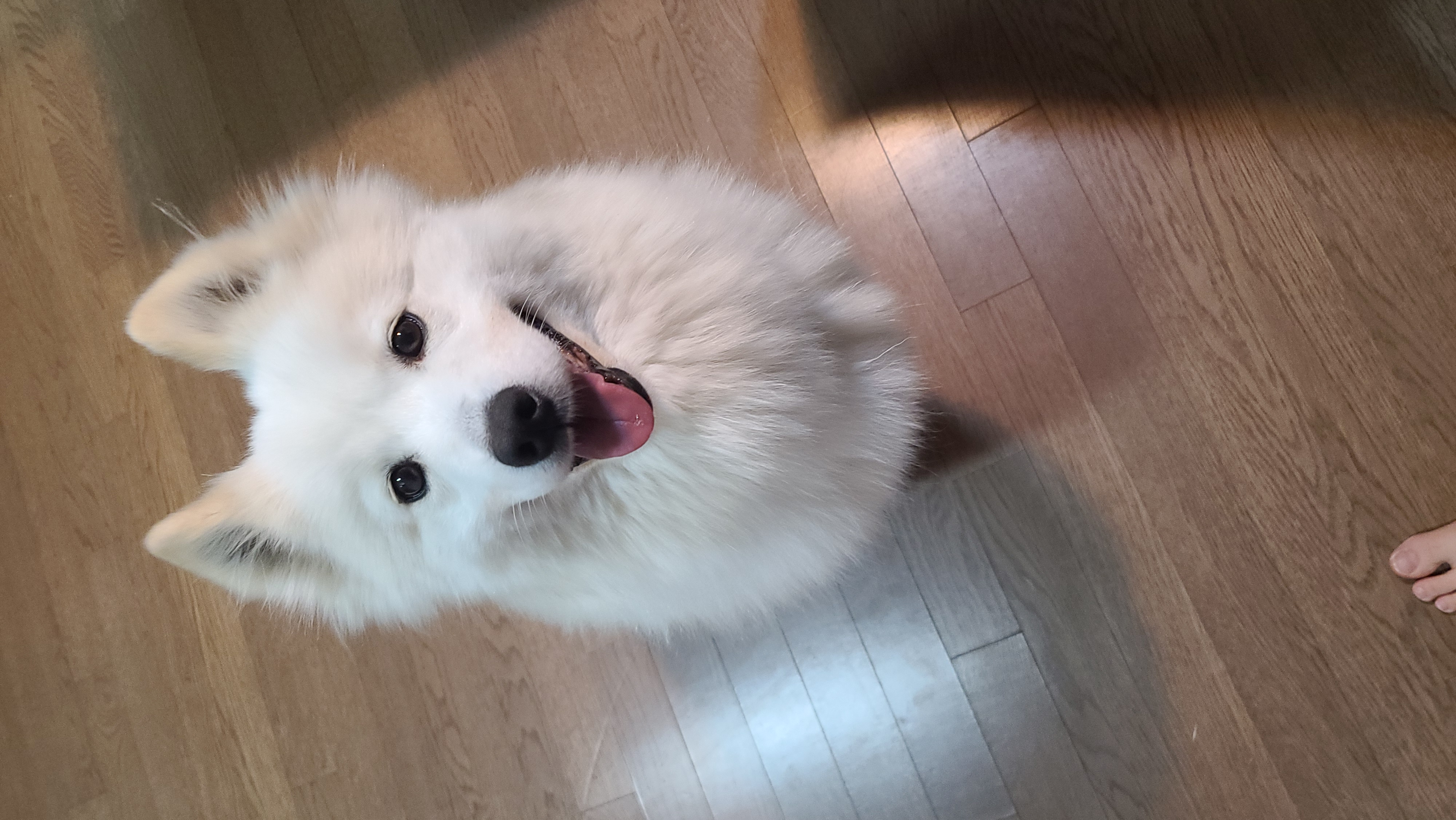 클로이의 한달♡