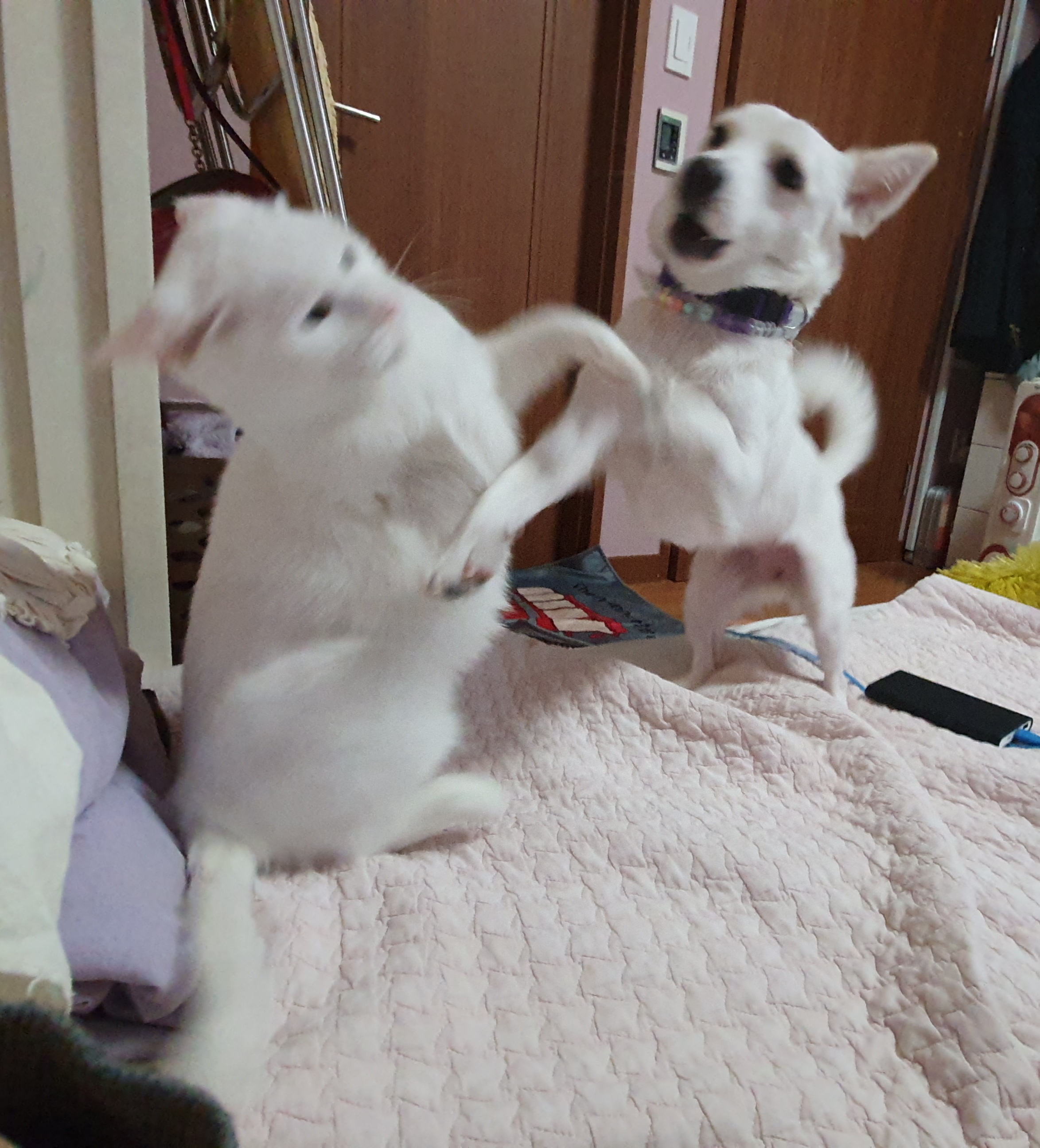 하트 오랜만이에요~^^