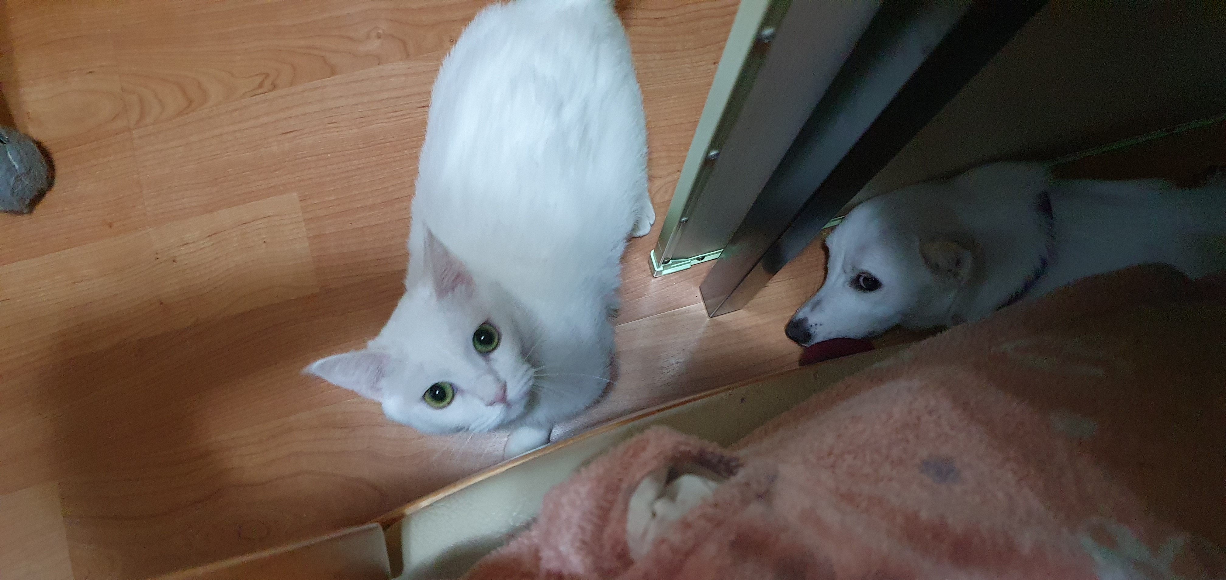 하트 오랜만이에요~^^