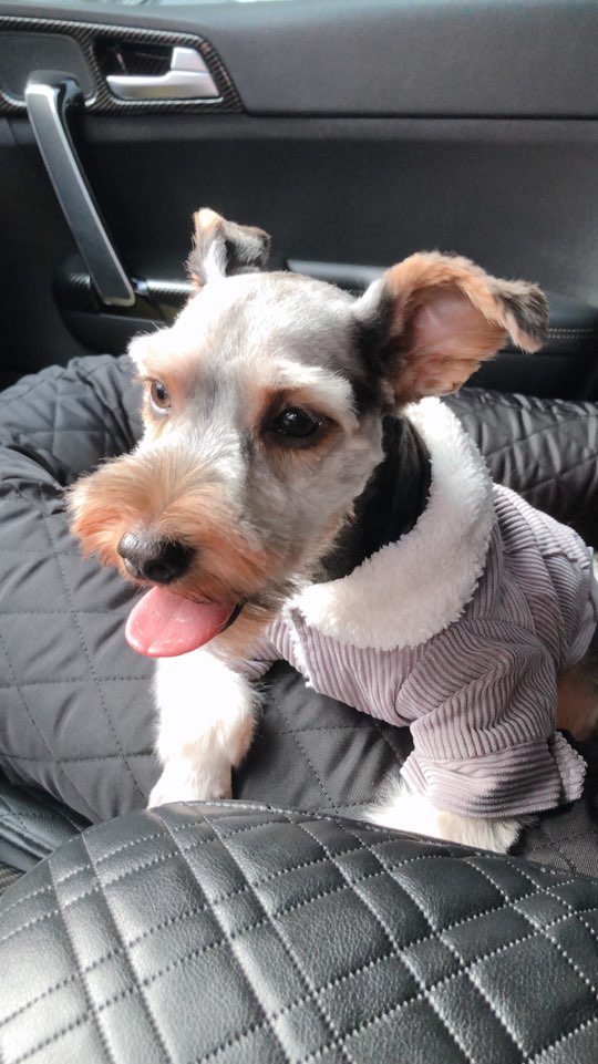 몽구 3개월차 소식입니다(구 해피) 