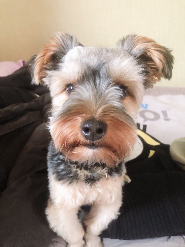 몽구 3개월차 소식입니다(구 해피) 