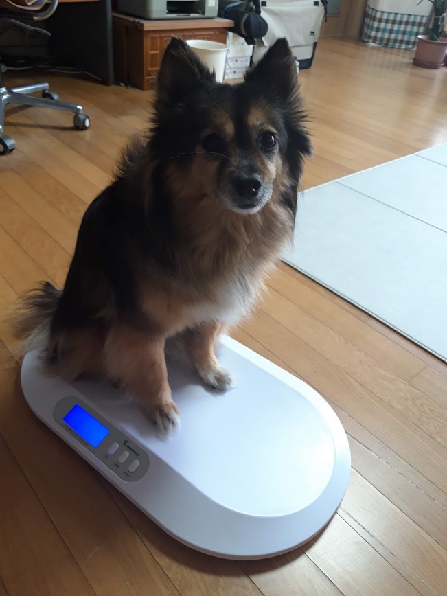 베를린 연말 소식입니다