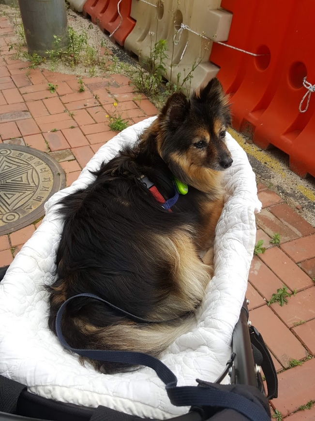 베를린 연말 소식입니다