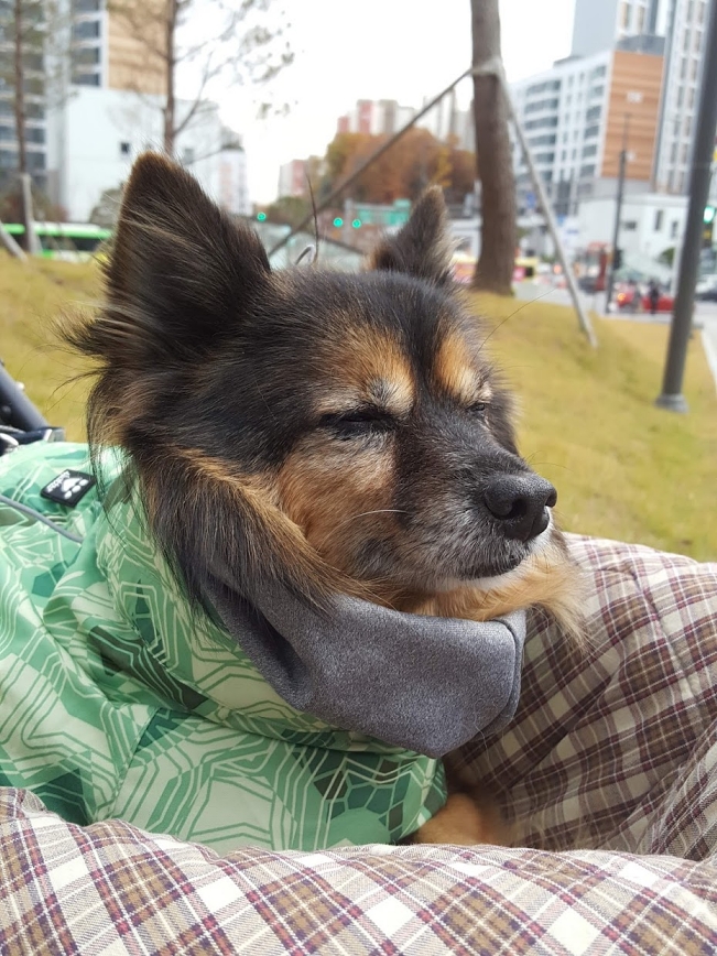 베를린 연말 소식입니다