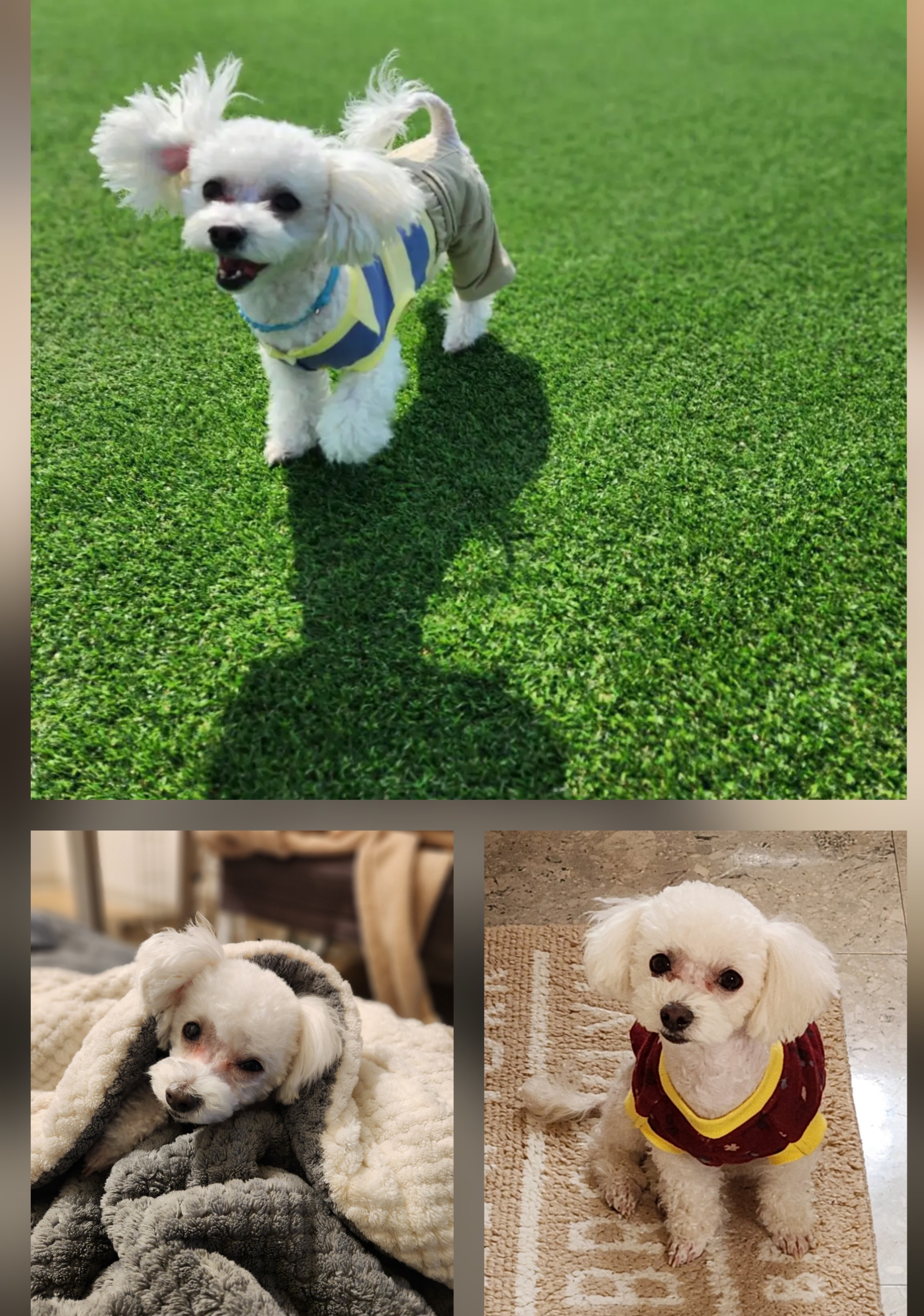 구)말랭 현)도담