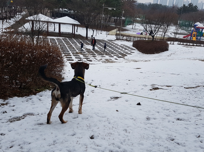 까미(멍돌이)랑 벌써 세 달
