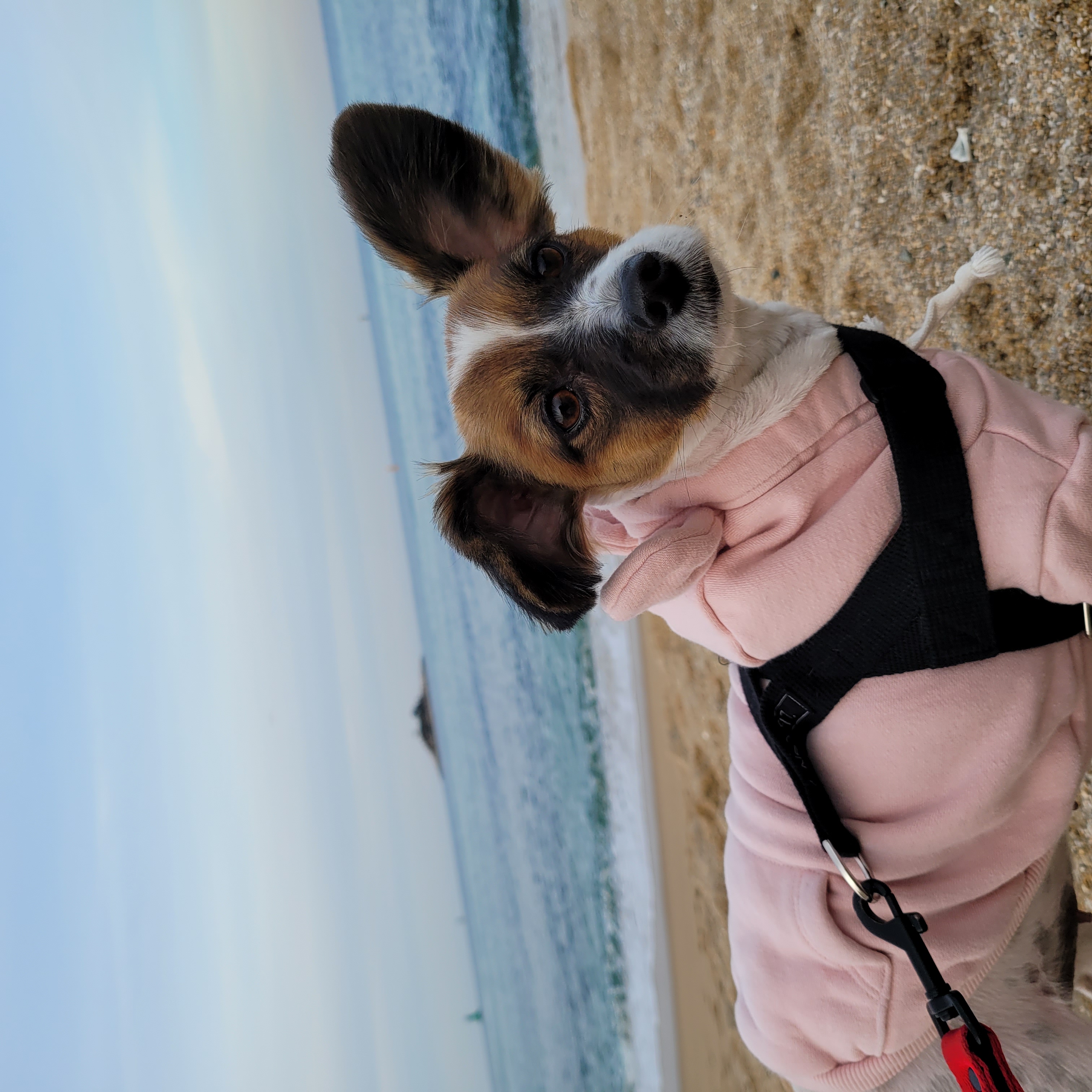 토리3개월후입니당 (은하)