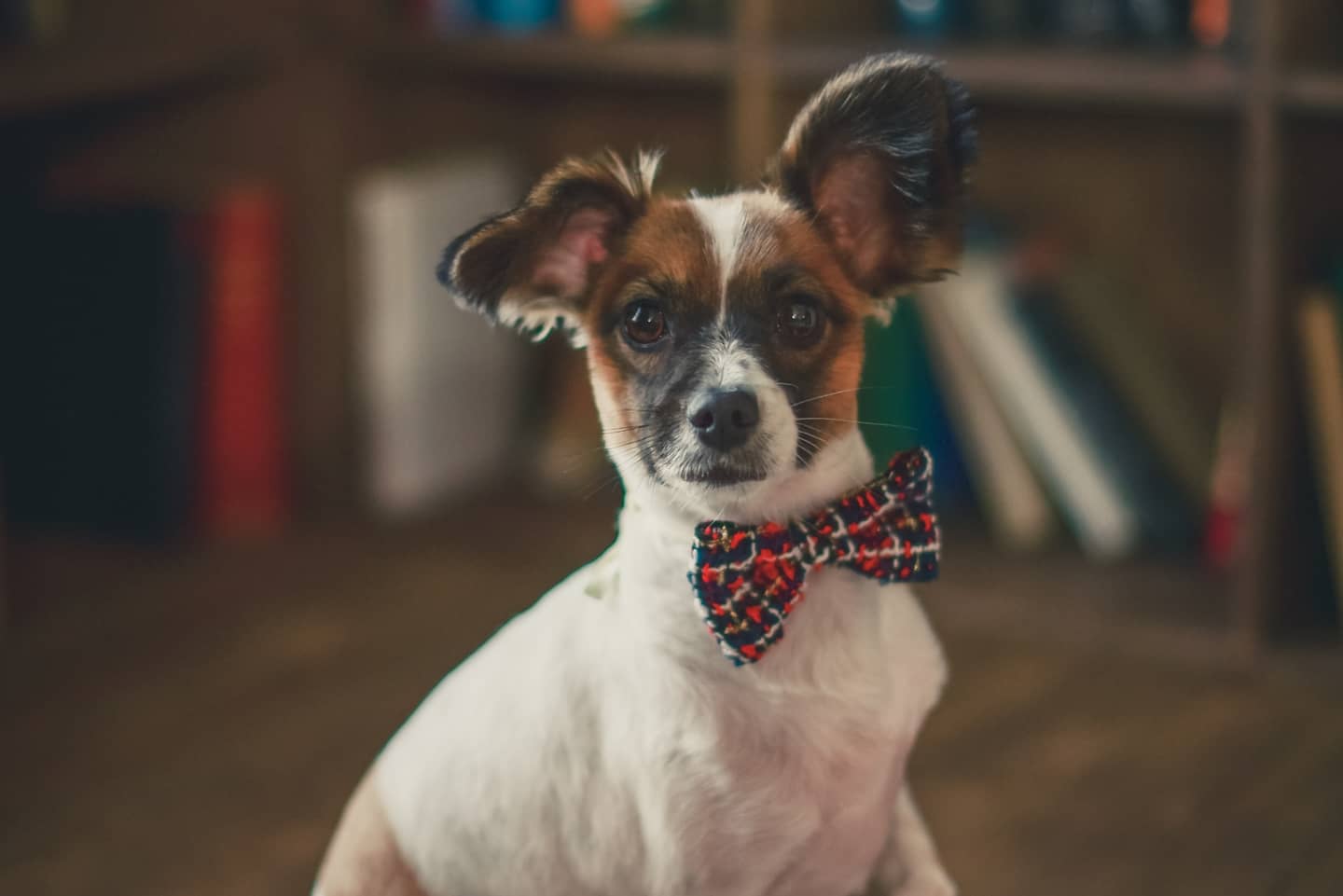 토리3개월후입니당 (은하)