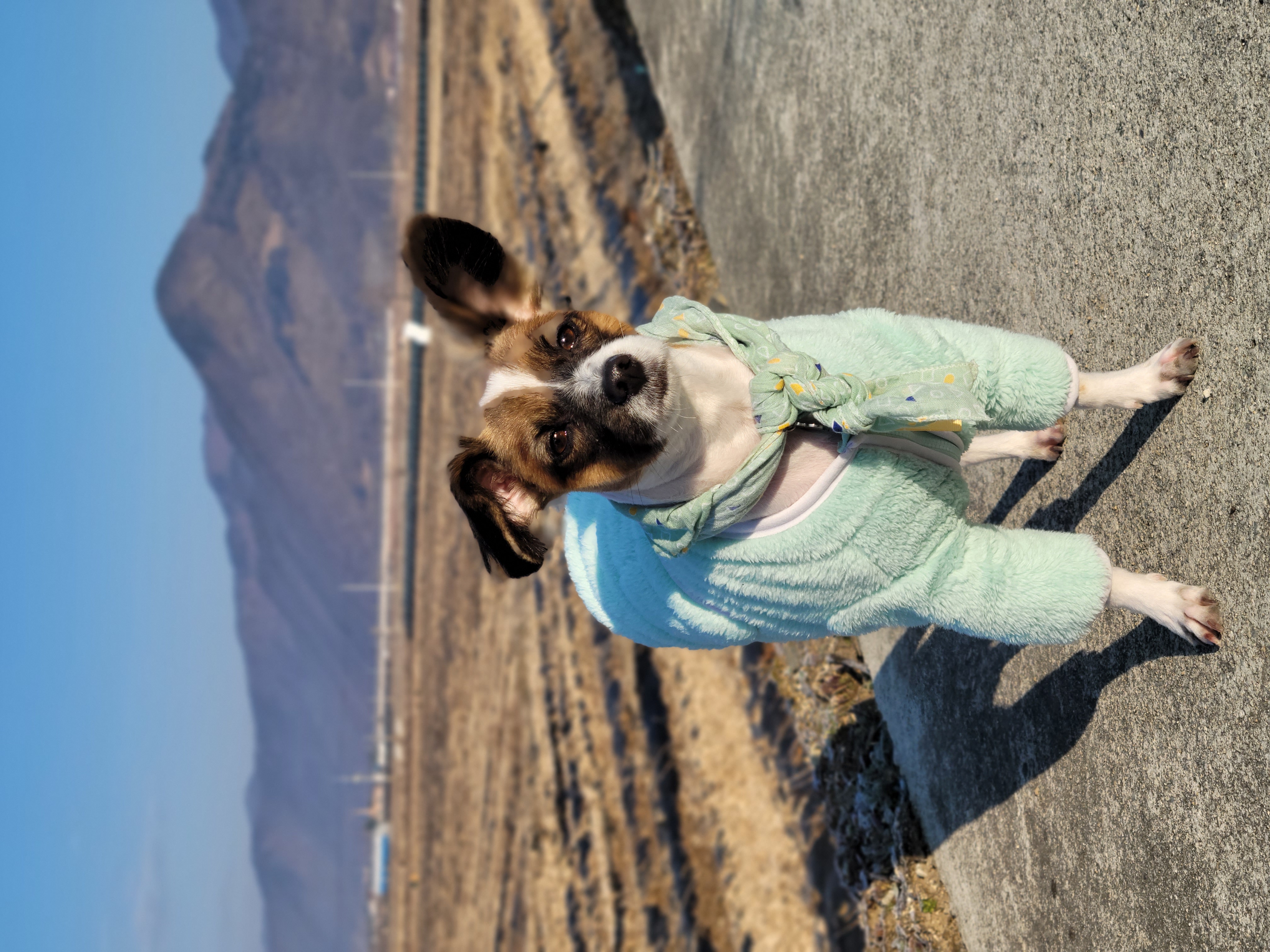 토리3개월후입니당 (은하)