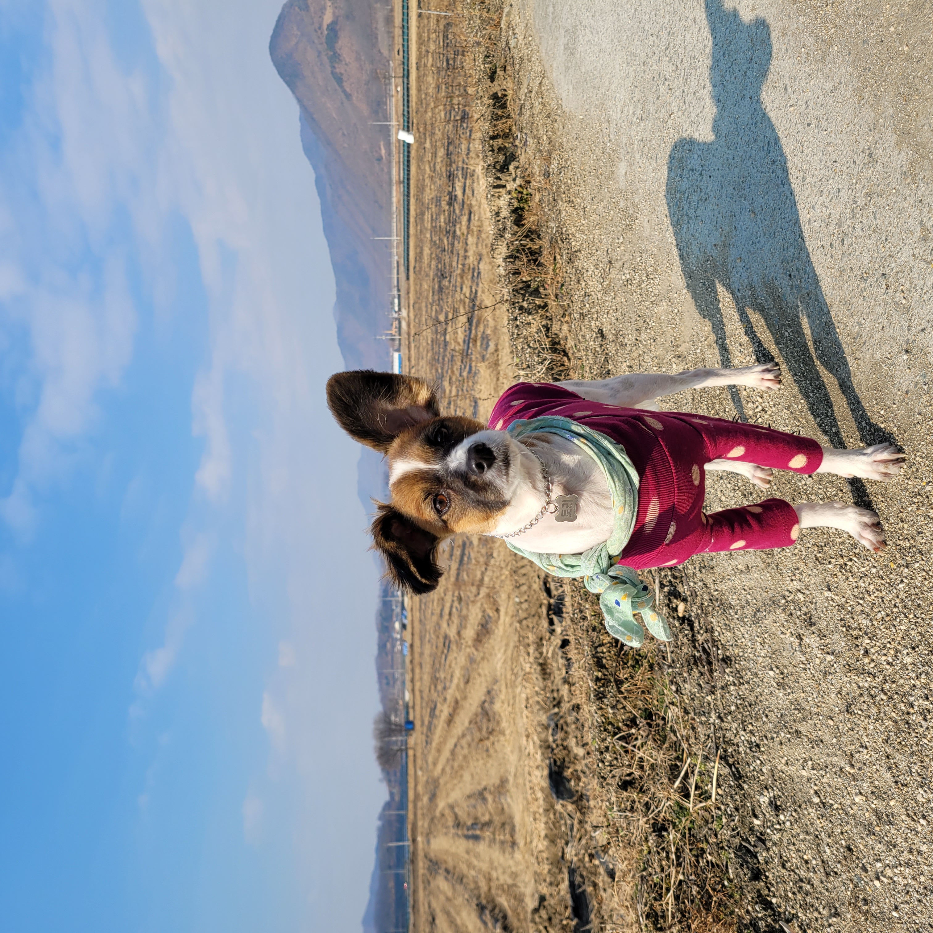 토리3개월후입니당 (은하)