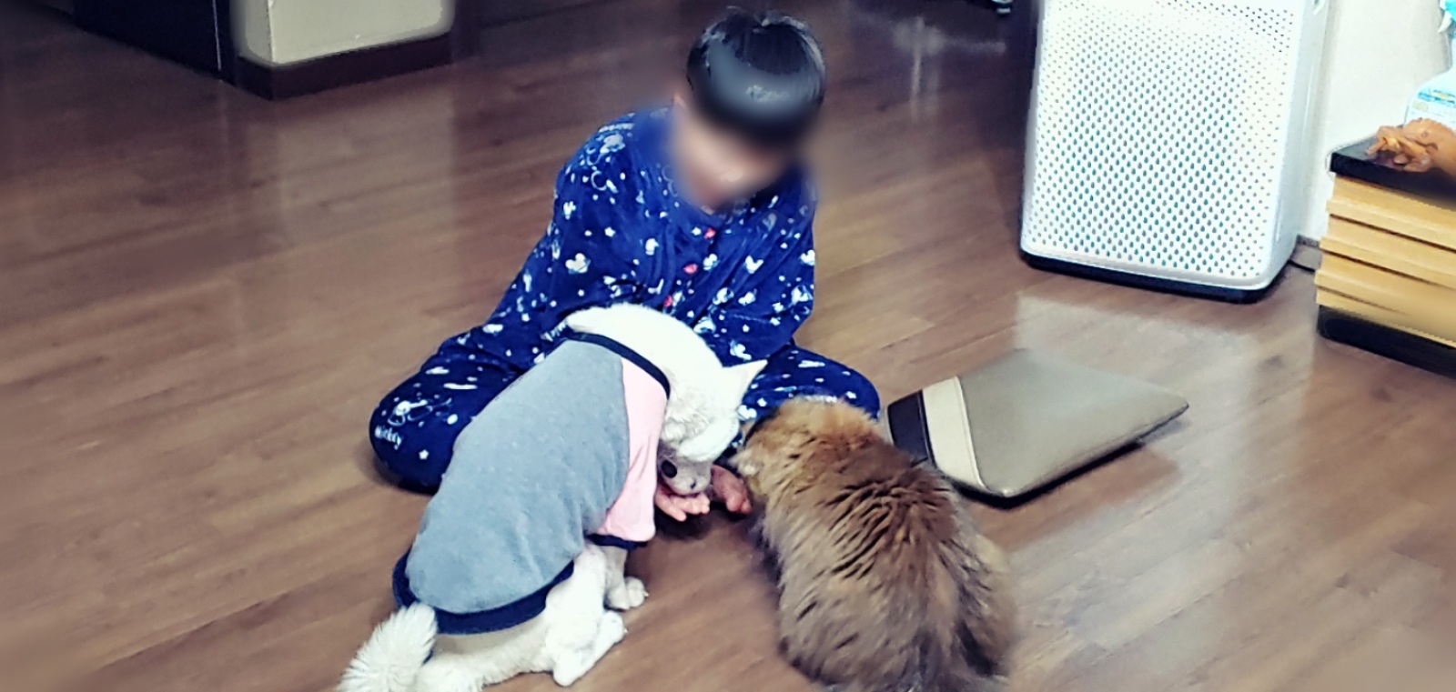 구름이가 편안하길~