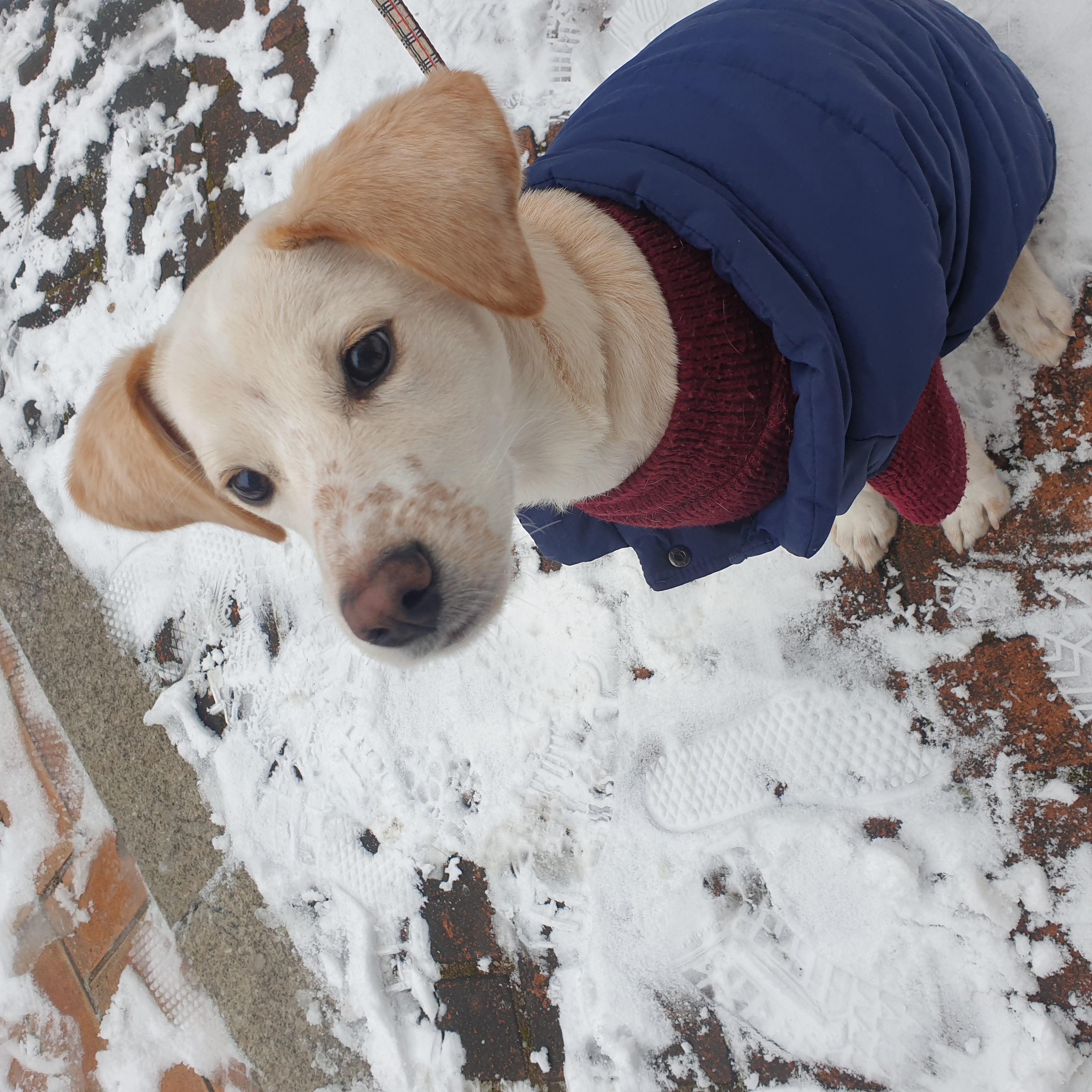 구멍구 현 아토 우리집 온지 3개월