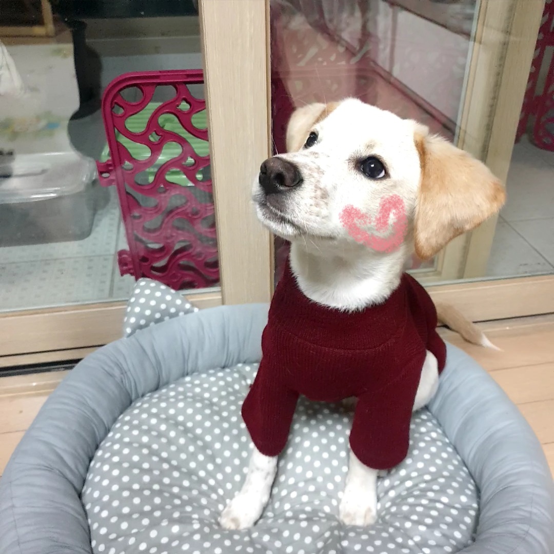 구멍구 현 아토 우리집 온지 3개월