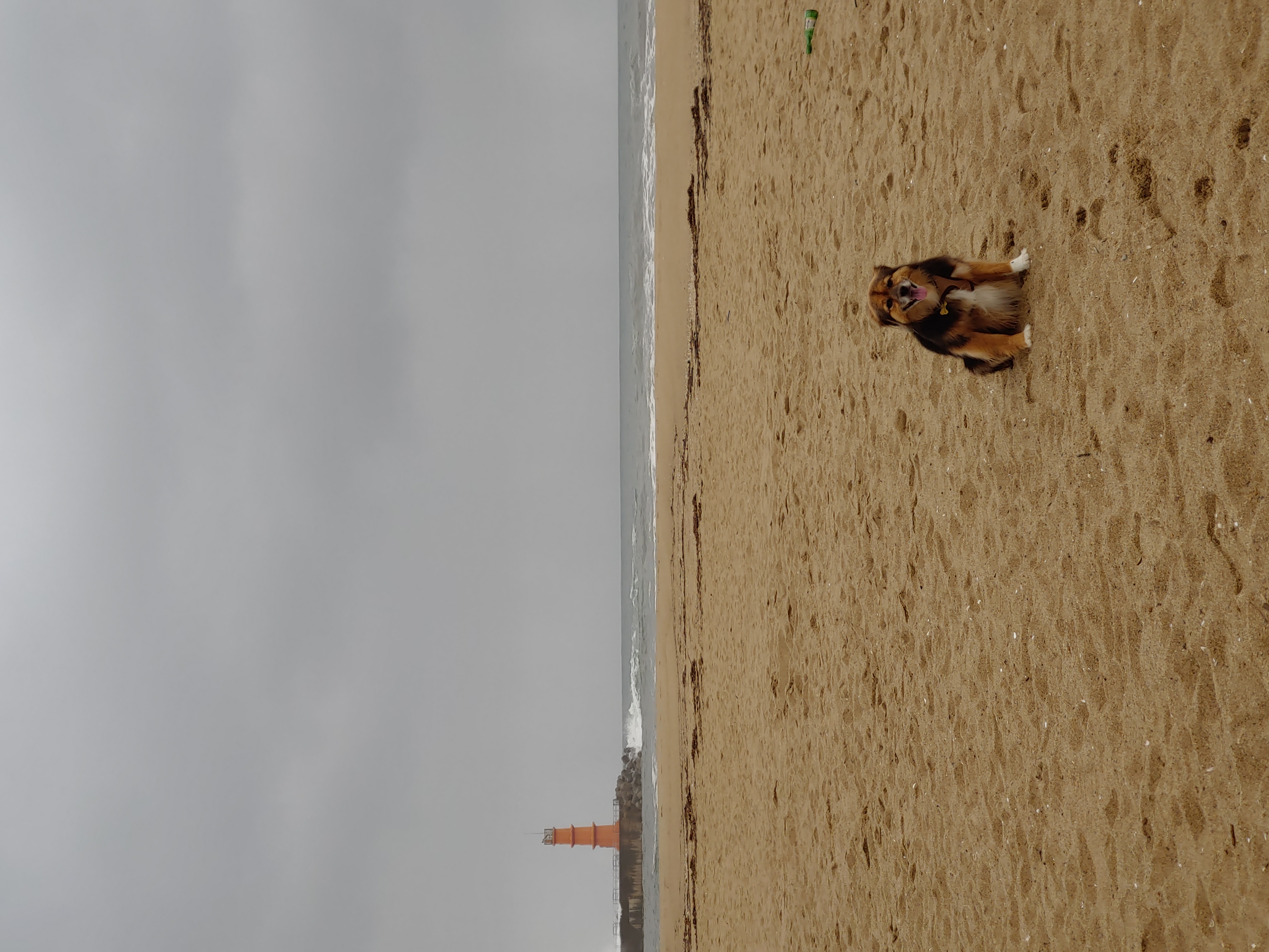 정왕이의 크리스마스