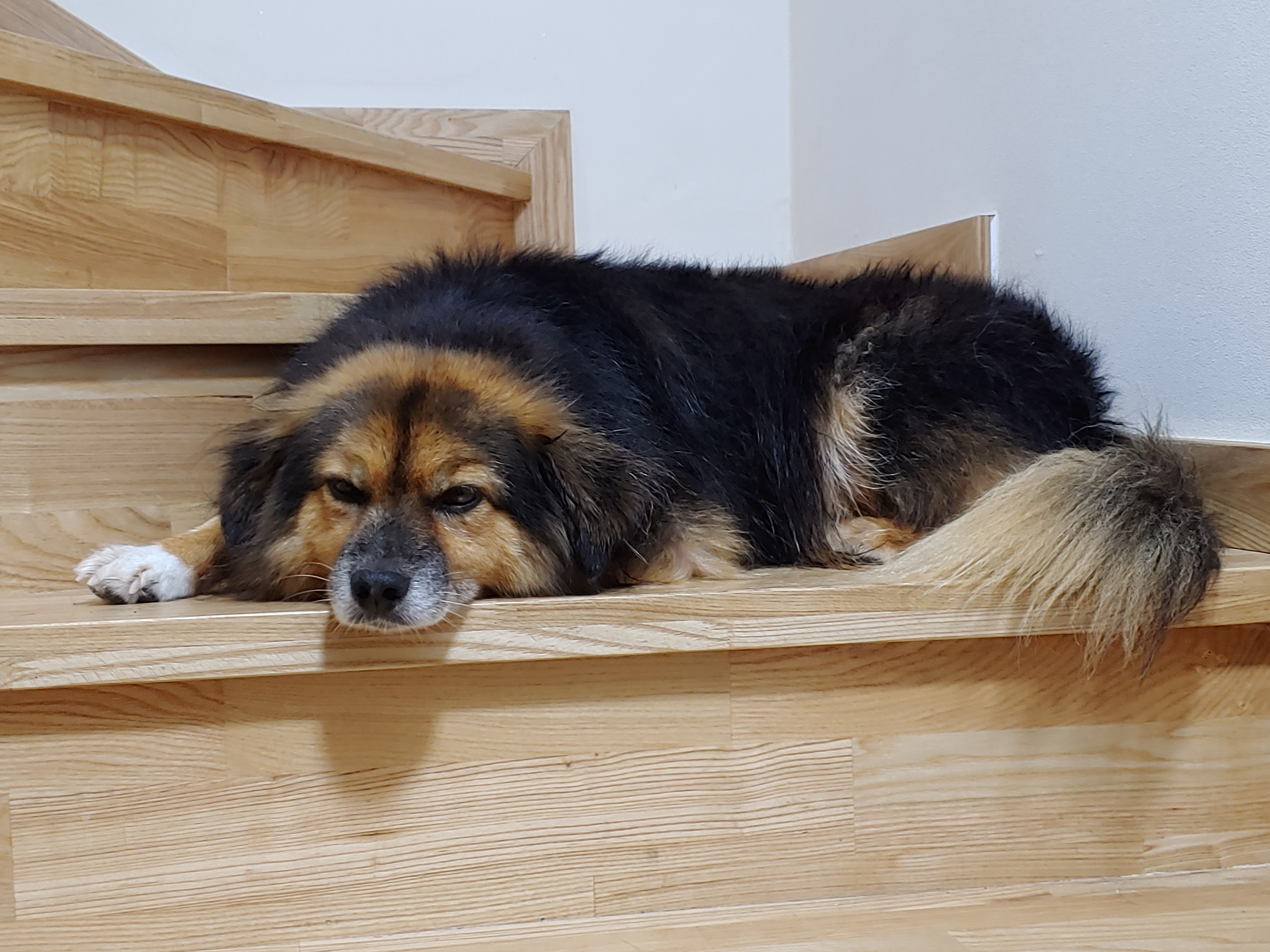 정왕이의 크리스마스