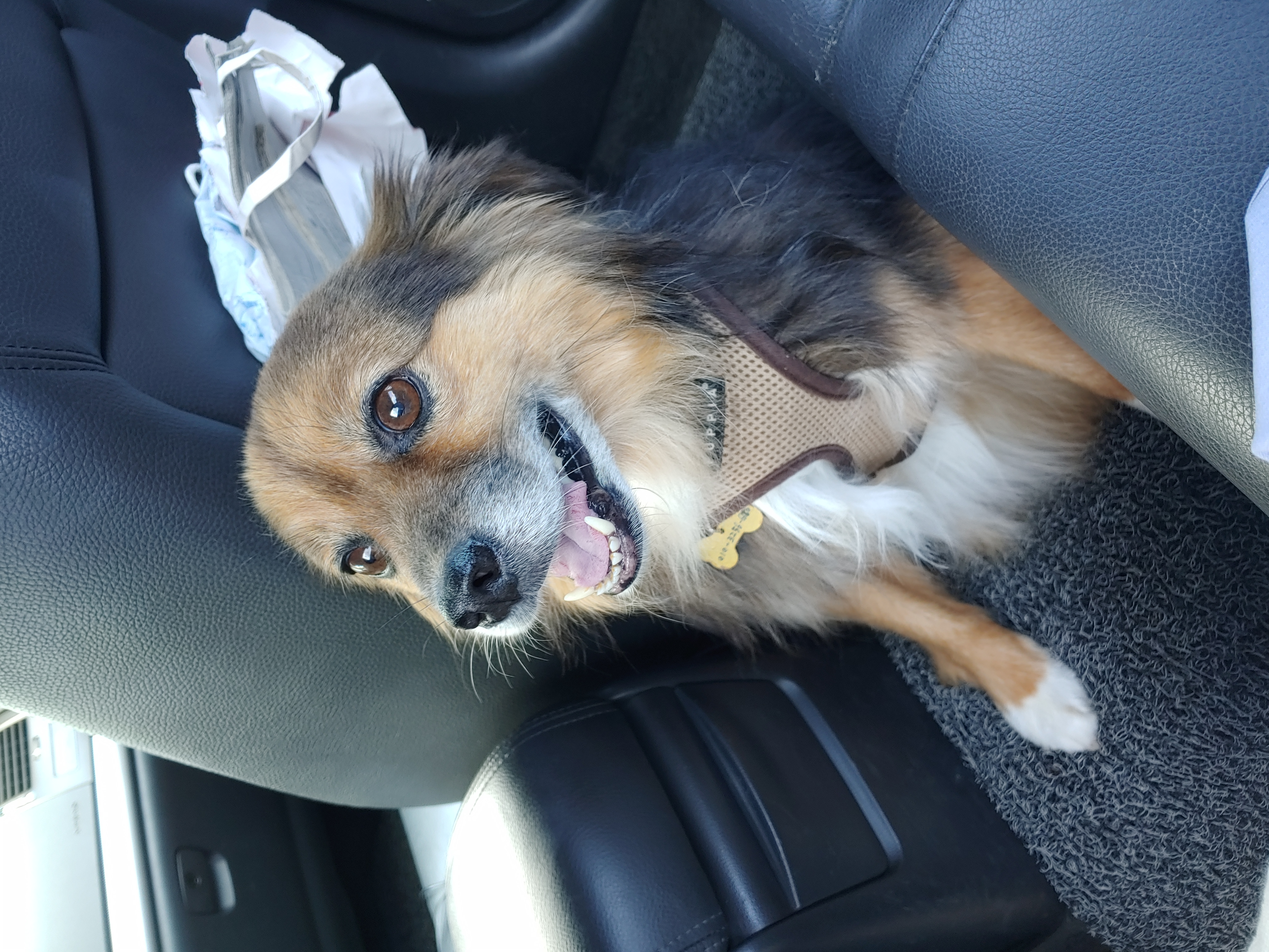 정왕이의 크리스마스