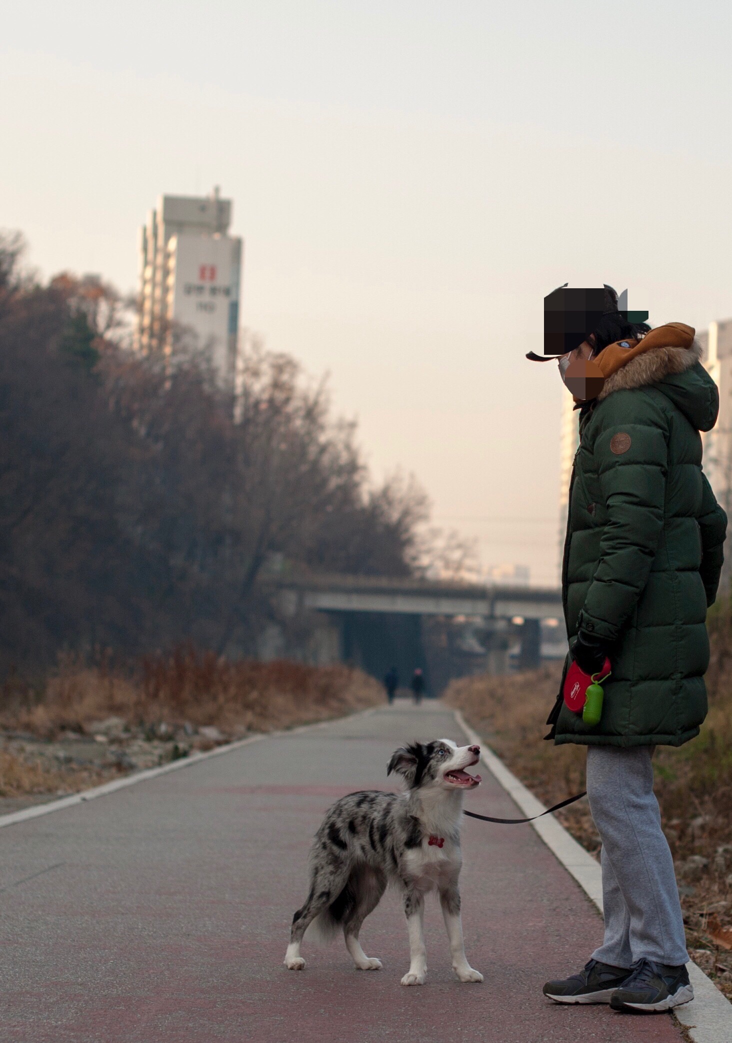 샤인이와 벌써 한달