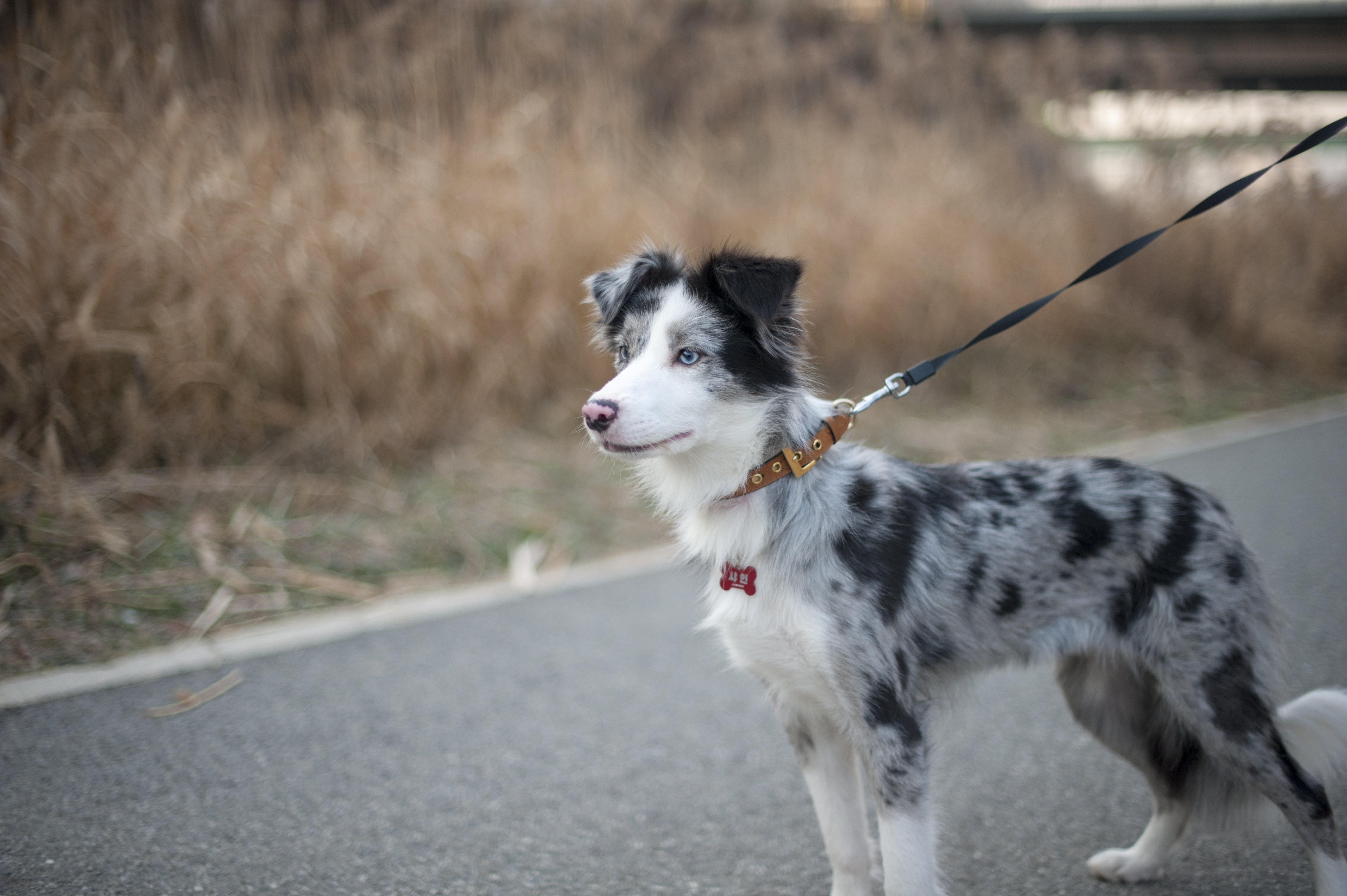 샤인이와 벌써 한달