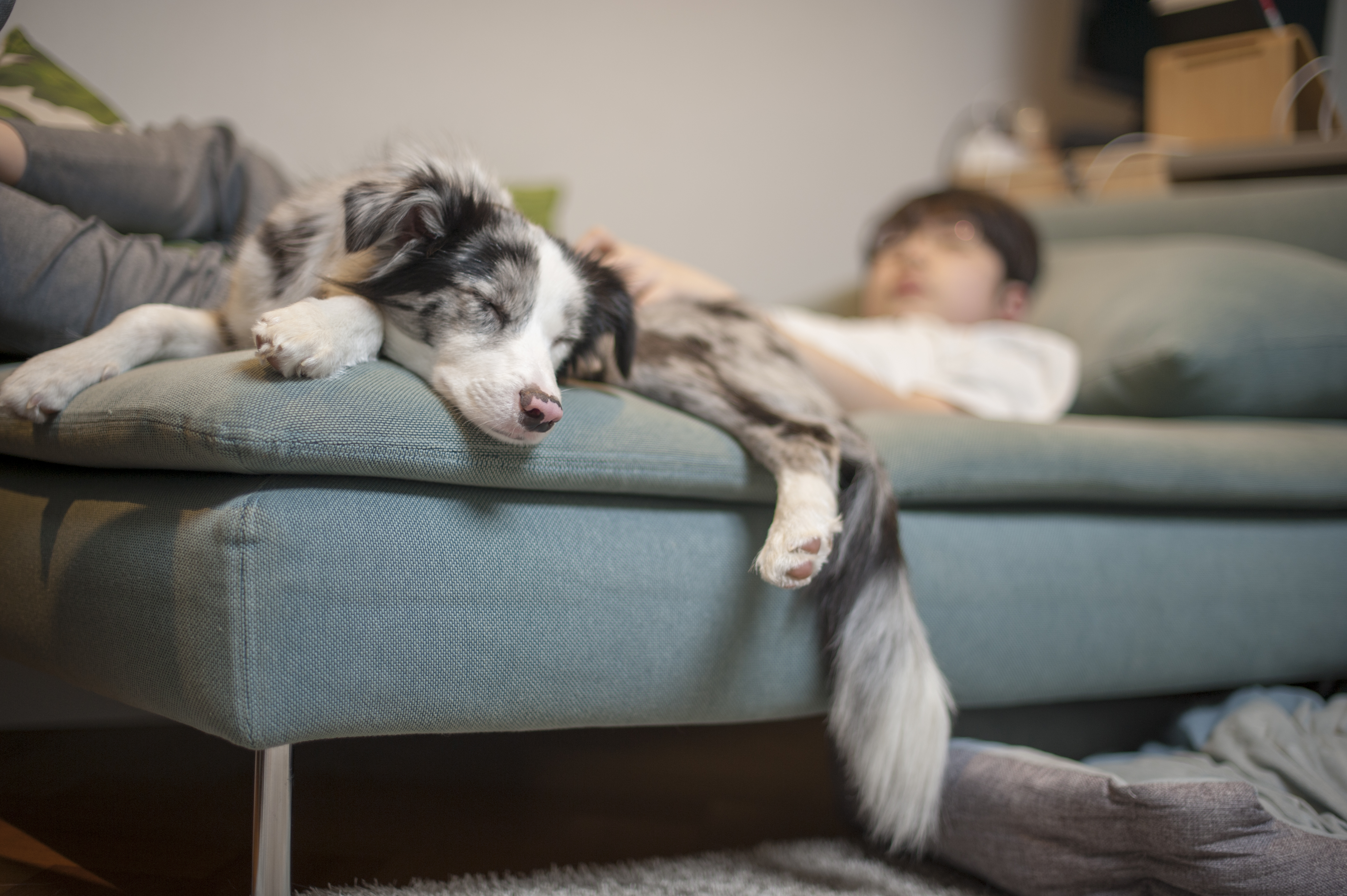 샤인이와 벌써 한달