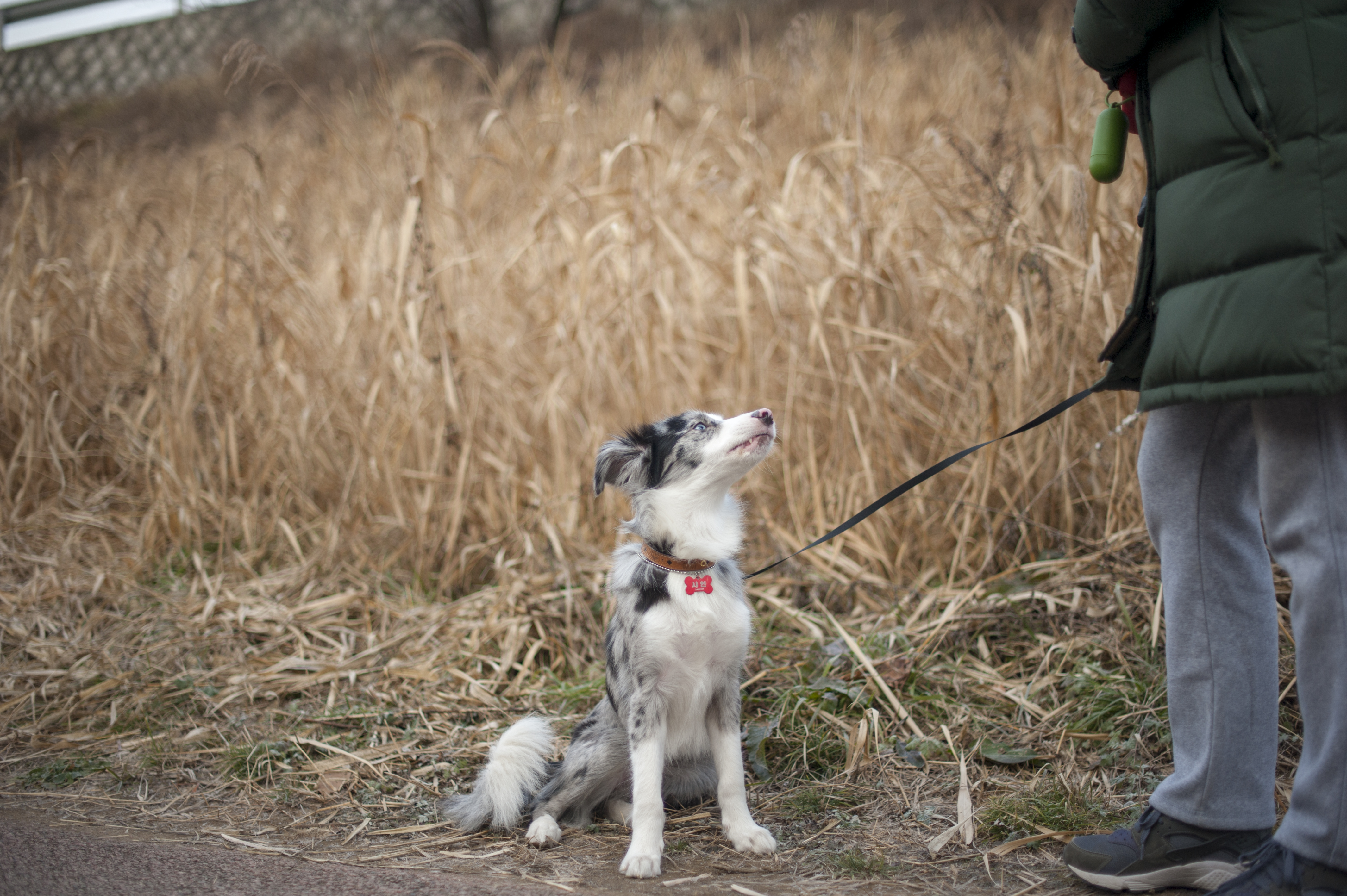 샤인이와 벌써 한달