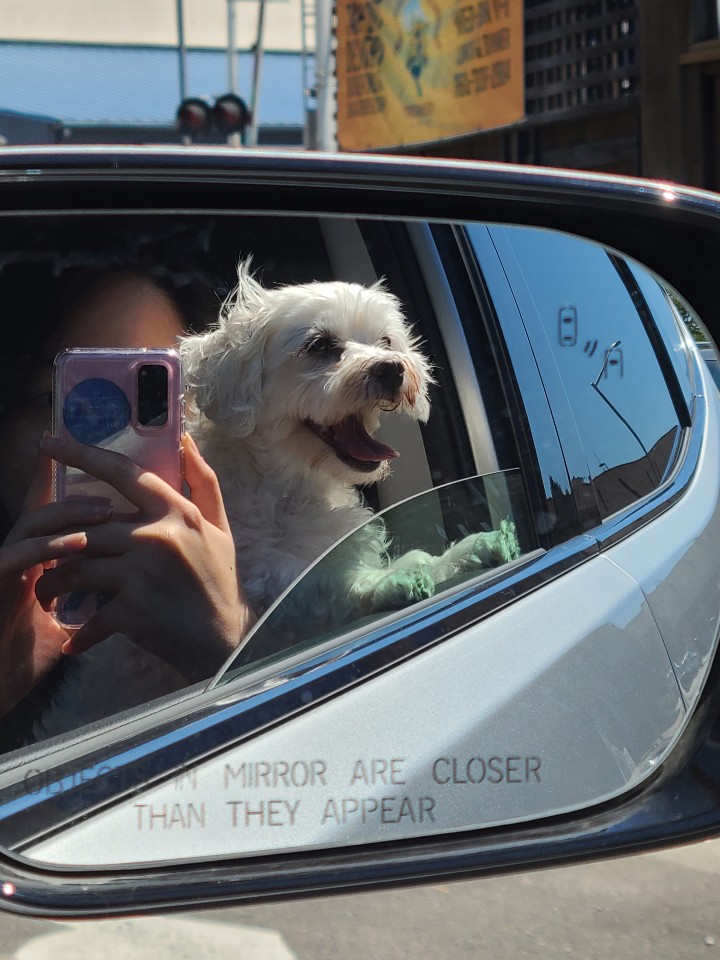 다니 (비단이) 소식 올립니다