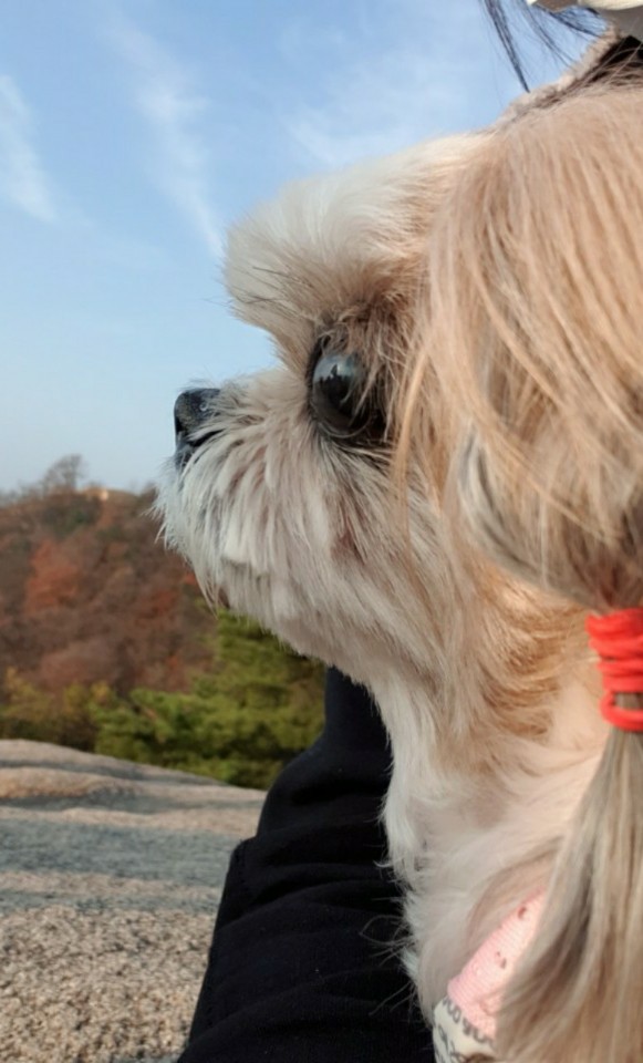 덕선이(금비) 1년 후 이야기