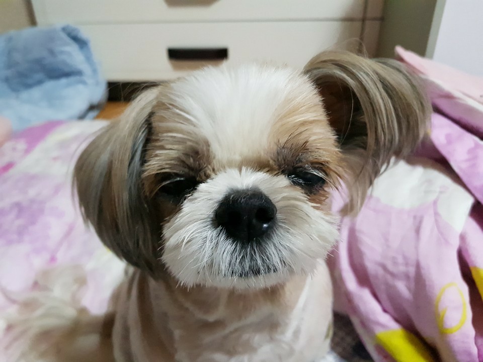 덕선이(금비) 1년 후 이야기