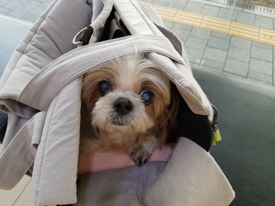 덕선이(금비) 1년 후 이야기