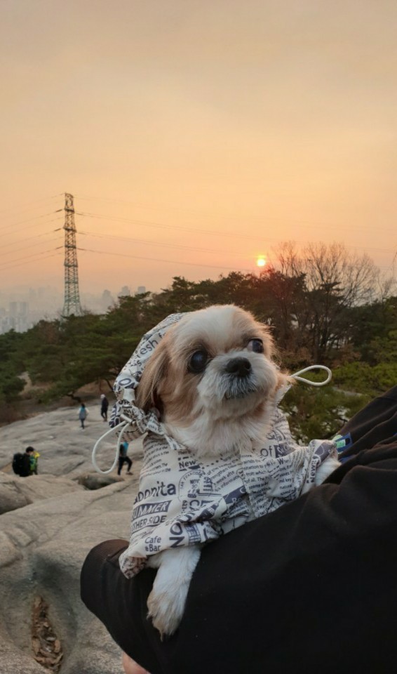 덕선이(금비) 1년 후 이야기