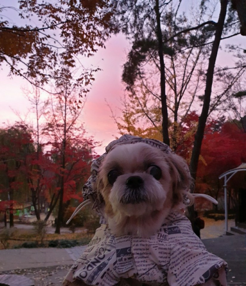 덕선이(금비) 1년 후 이야기