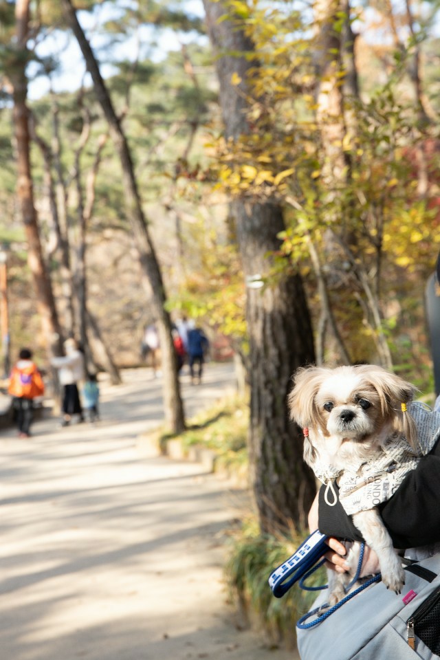 덕선이(금비) 1년 후 이야기