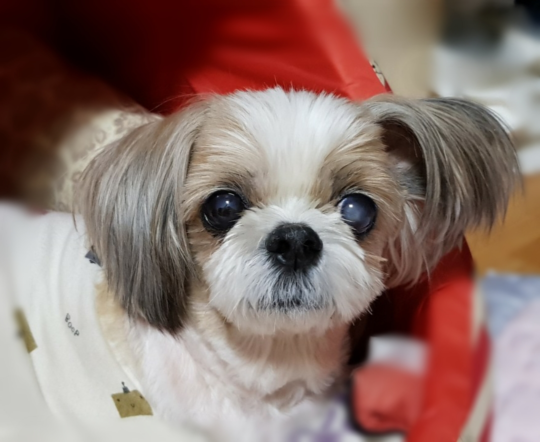 덕선이(금비) 1년 후 이야기