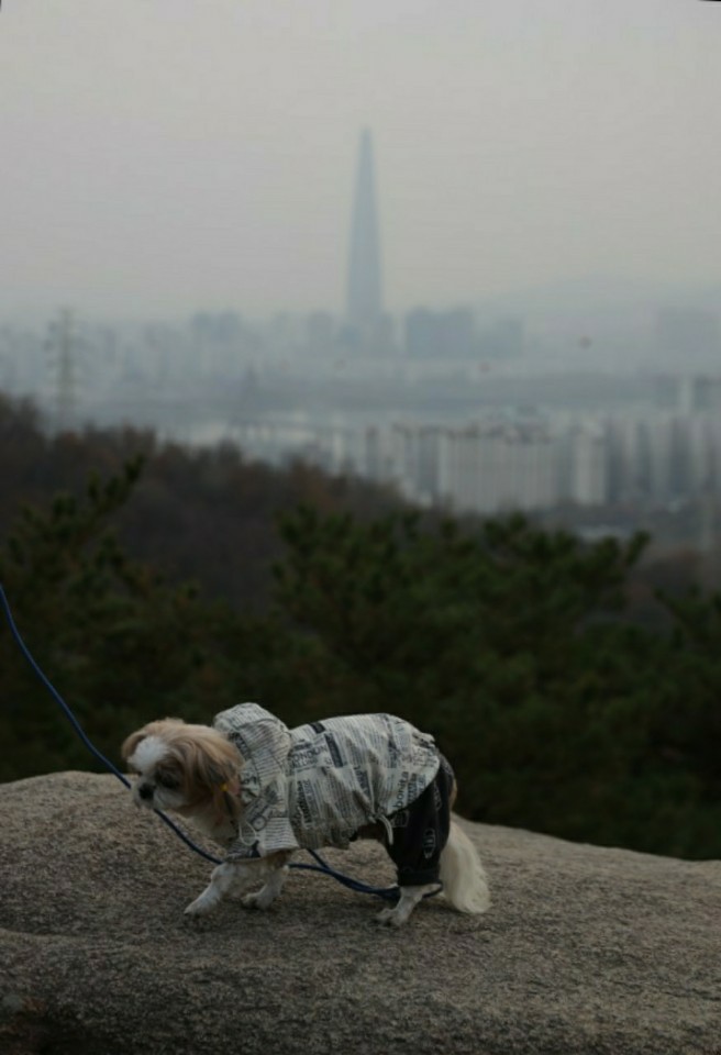 덕선이(금비) 1년 후 이야기