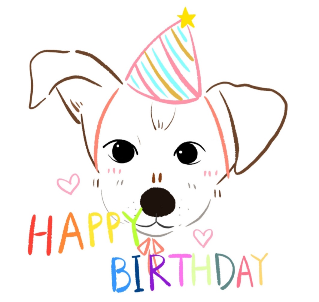 근육맨 다온이 입양 3개월