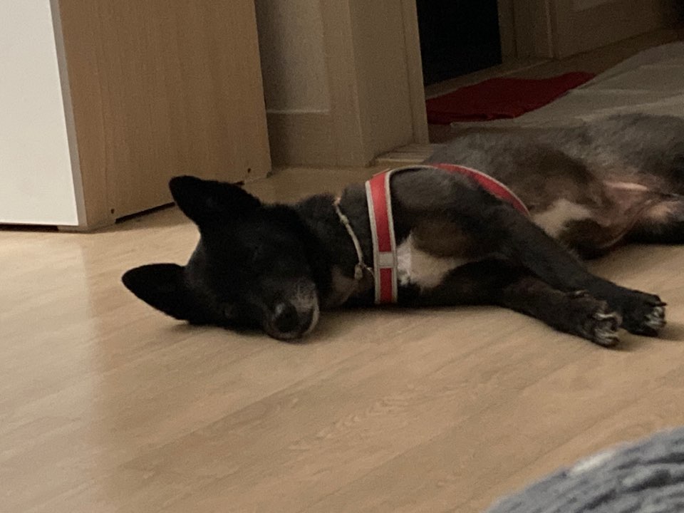 금까 근황입니다