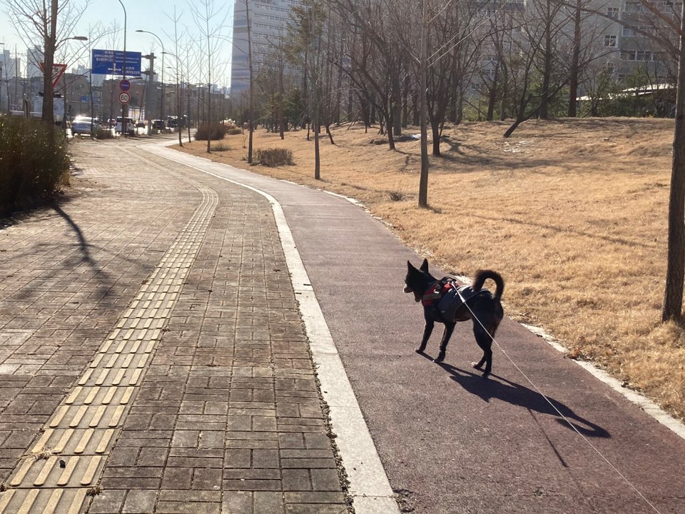 금까 근황입니다