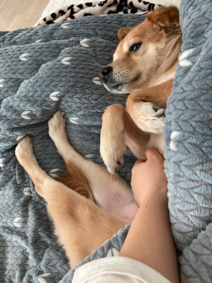 금까 근황입니다