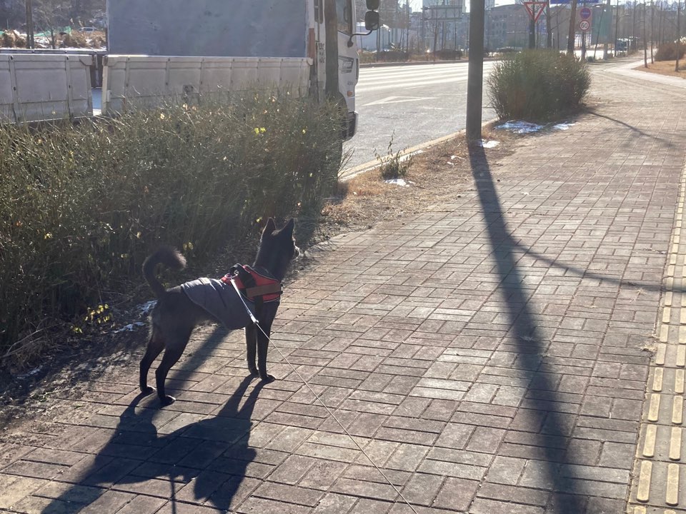 금까 근황입니다