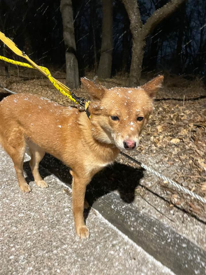 단이와의 임보 3개월차